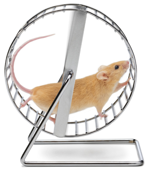 mouse on wheel