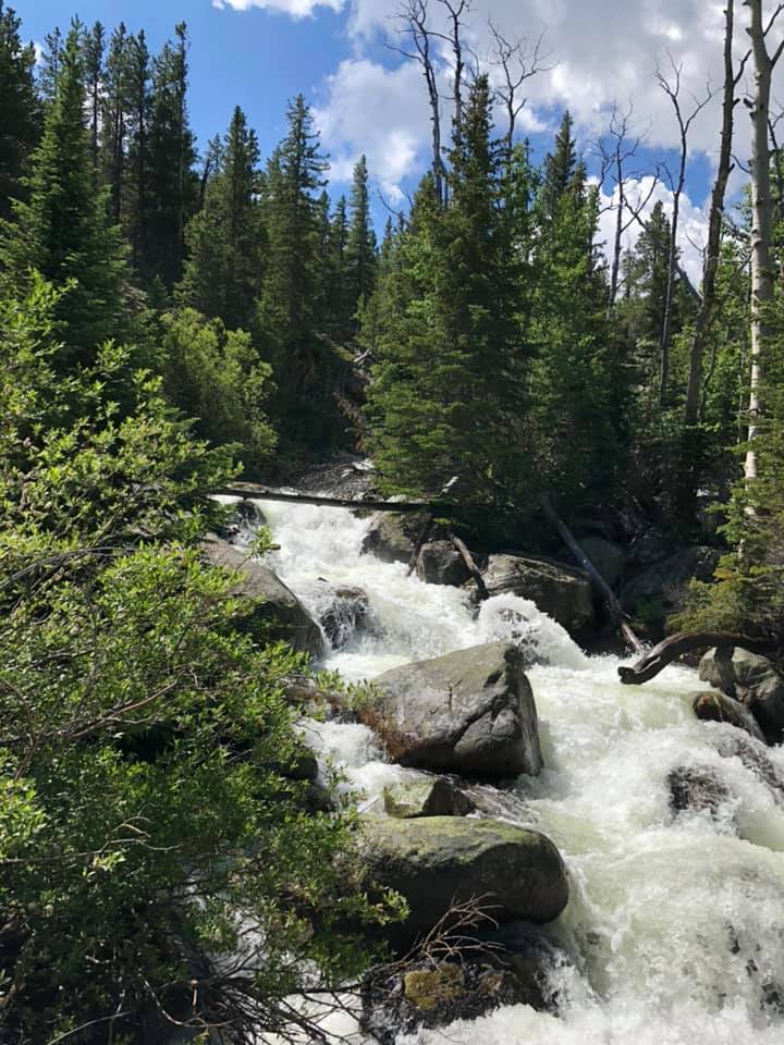 Alberta Falls RMNP July 2019
